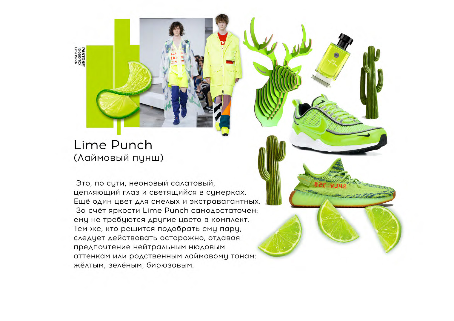 Тренды Весна-Лето 2019-20